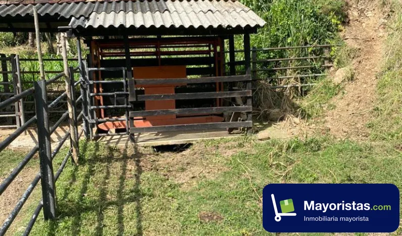 Finca ganadera de 176 ha en Santa Bárbara, Antioquia — foto 9 de 9