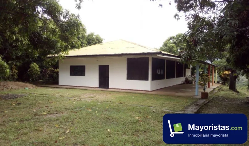 Finca ganadera de 160 ha en Carmen de Apicalá, Tolima — foto 10 de 10