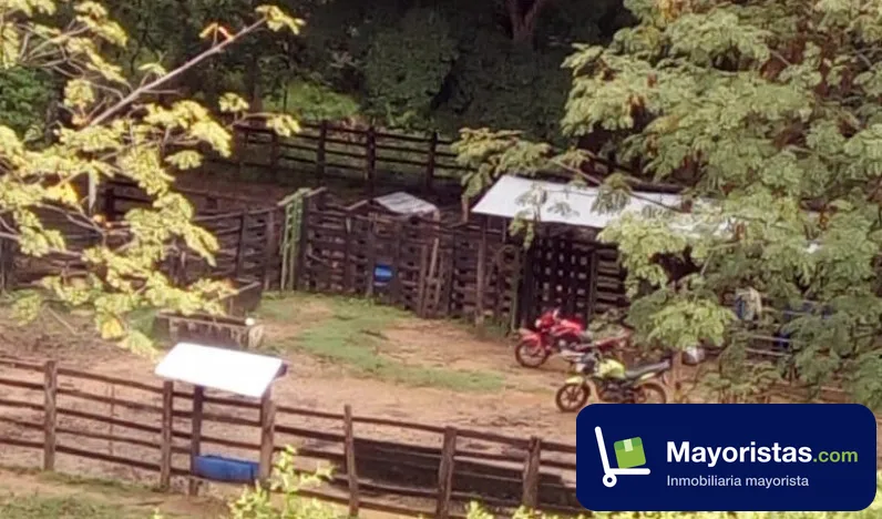 Finca ganadera de 160 ha en Carmen de Apicalá, Tolima — foto 9 de 10