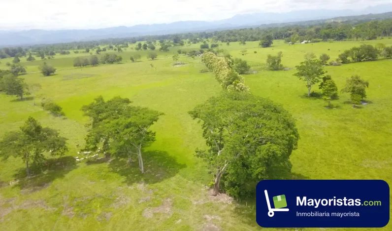 Finca ganadera de 20 ha en Sabana de Torres, Santander