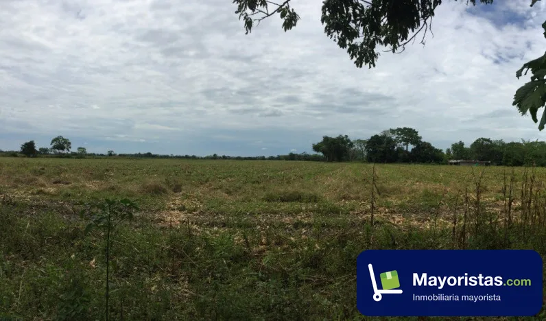 Finca agrícola de 42 ha en Villavicencio, Meta