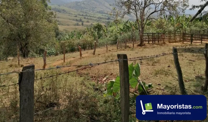 Finca ganadera de 400 ha en Mogotes, Santander — foto 10 de 10