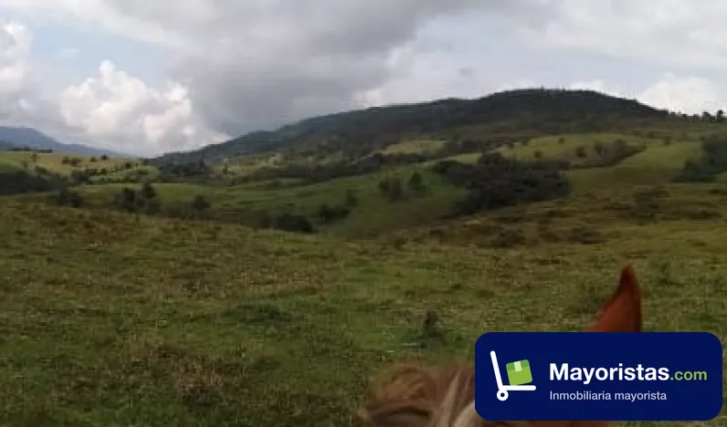 Finca ganadera de 400 ha en Mogotes, Santander — foto 9 de 10