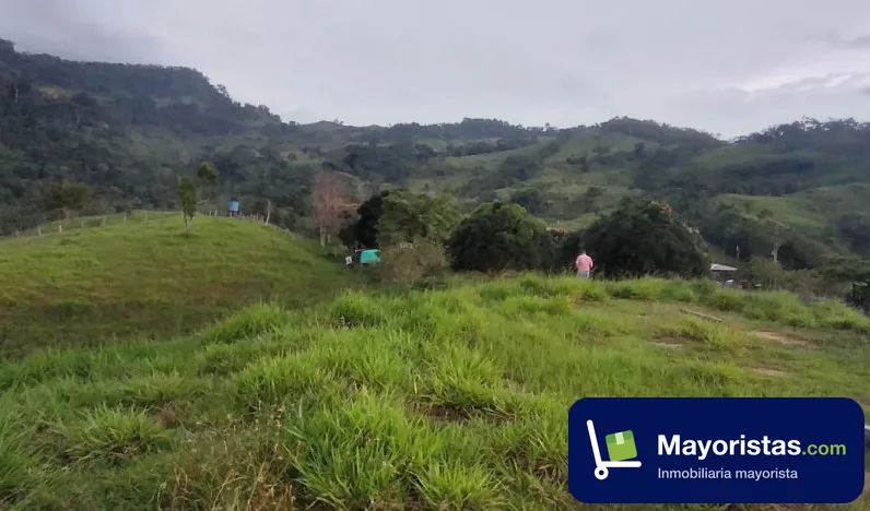 Finca ganadera de 127 ha en Puerto Boyacá, Boyacá — foto 10 de 10
