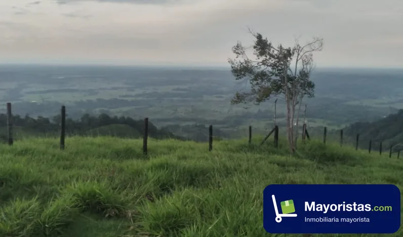 Finca ganadera de 127 ha en Puerto Boyacá, Boyacá — foto 9 de 10