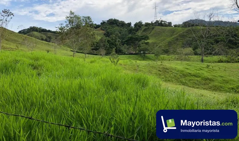 Finca ganadera de 110 ha en Amalfi, Antioquia