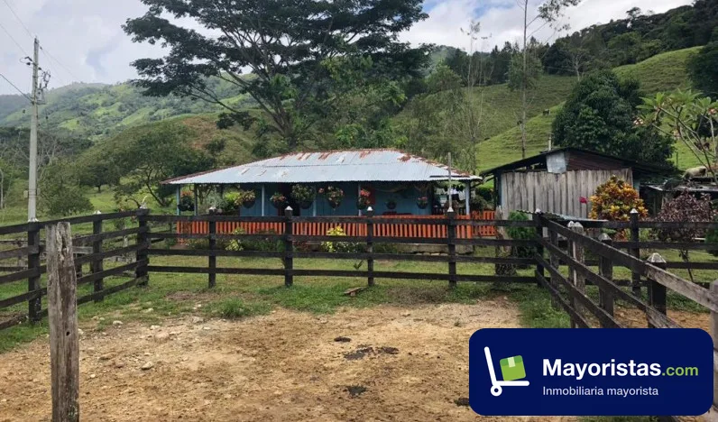 Finca ganadera de 110 ha en Amalfi, Antioquia — foto 10 de 10