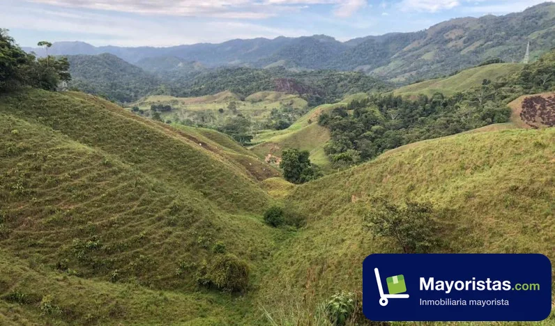Finca ganadera de 110 ha en Amalfi, Antioquia — foto 9 de 10