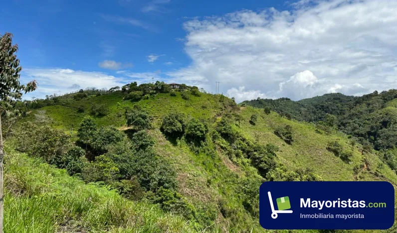 Finca cafetera de 26 ha en Fresno, Tolima