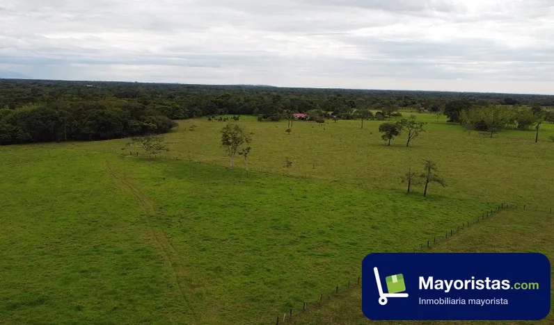 Finca ganadera de 100 ha en Cubarral, Meta