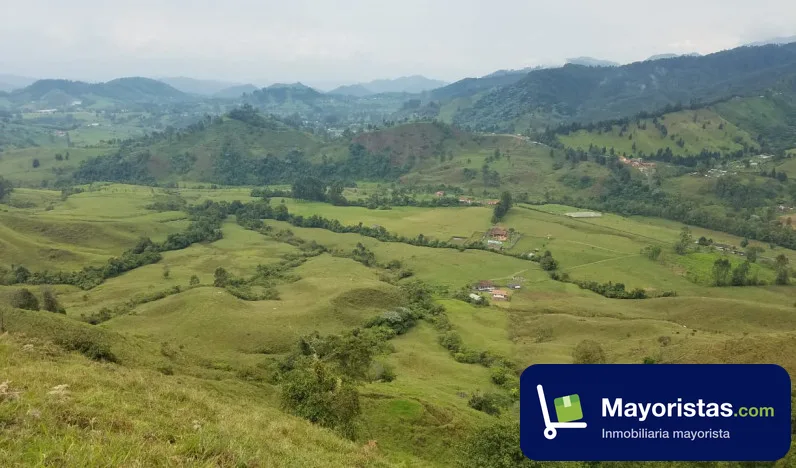 Finca ganadera de 64 ha en Santa Rosa de Cabal, Risaralda