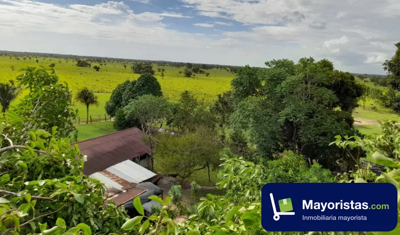 Finca ganadera de 1.293 ha en La Primavera, Vichada