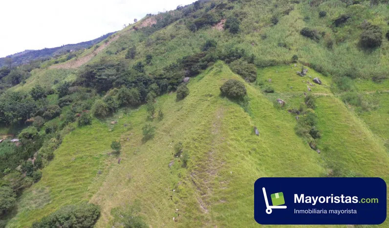 Finca ganadera de 4,5 ha en Girardota, Antioquia — foto 9 de 9