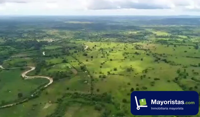Finca ganadera de 1.018 ha en Necoclí, Antioquia
