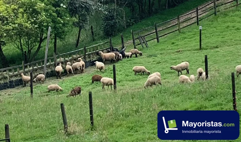 Finca ganadera de 16,4 ha en Tabio, Cundinamarca