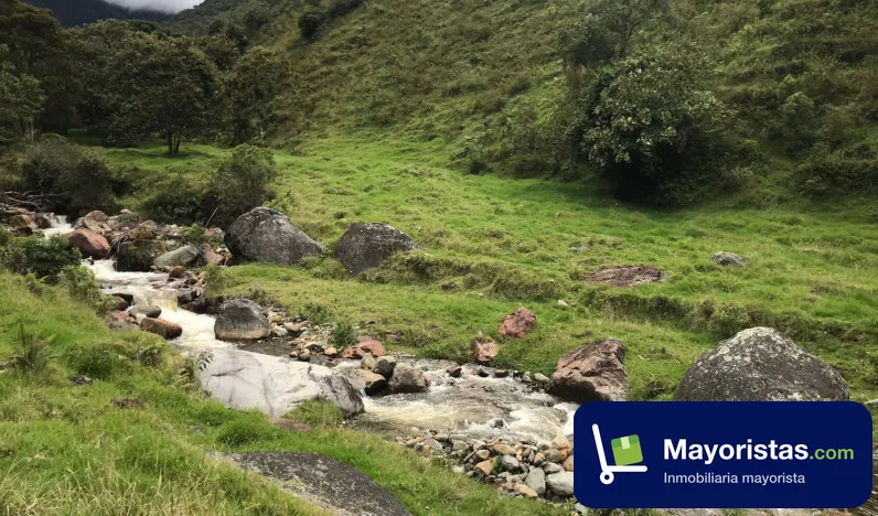 Finca ganadera de 137 ha en Caicedo, Antioquia