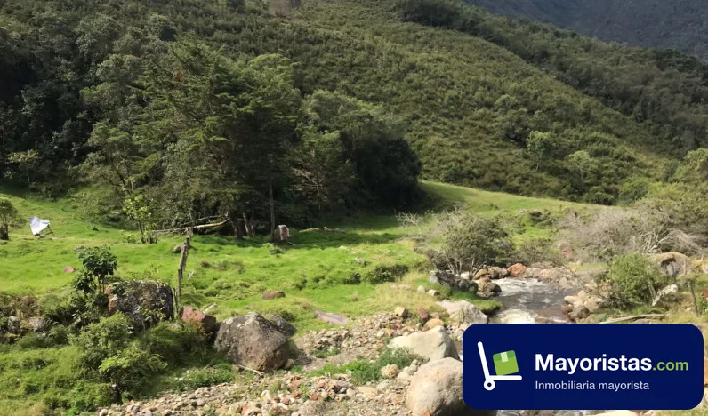 Finca ganadera de 137 ha en Caicedo, Antioquia — foto 10 de 10