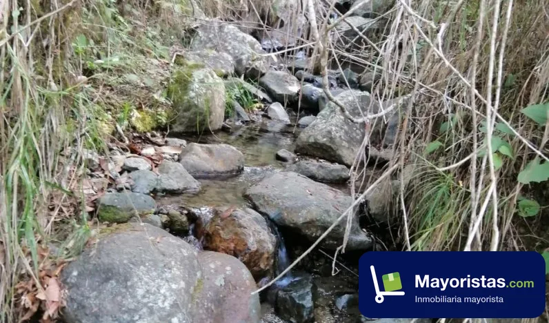Finca ganadera de 192 ha en Anzá, Antioquia — foto 9 de 9