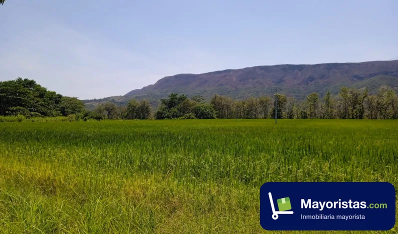 Finca agrícola de 6 ha en Espinal, Tolima