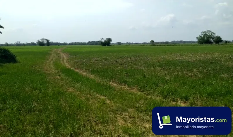 Finca agrícola de 760 ha en San Jacinto del Cauca, Bolívar