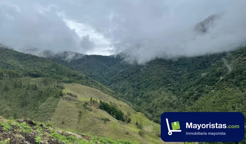 Finca ganadera de 100 ha en Caicedo, Antioquia — foto 10 de 10