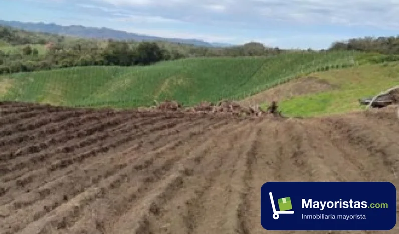 Finca agrícola de 6,8 ha en San Vicente, Antioquia