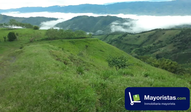 Finca ganadera de 40,3 ha en La Virginia, Risaralda