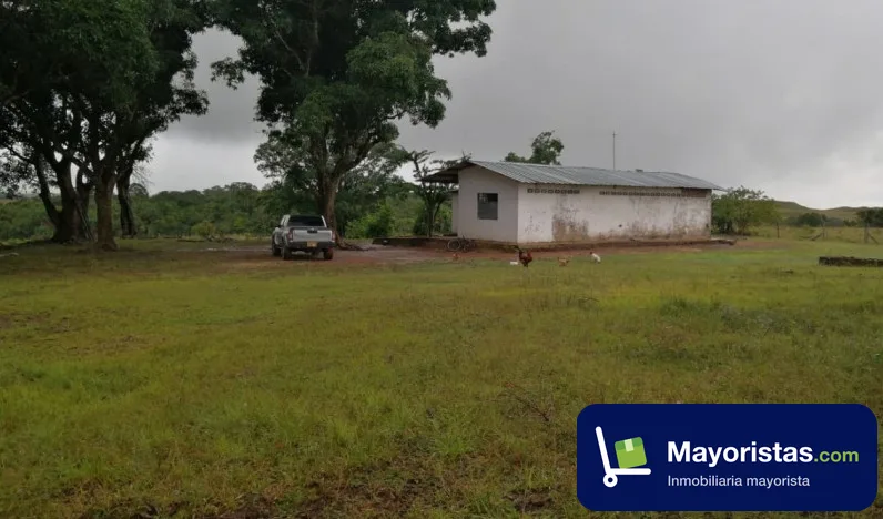 Finca ganadera de 3.040 ha en Puerto Gaitán, Meta — foto 10 de 10