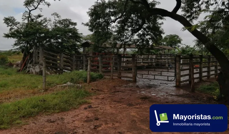 Finca ganadera de 3.040 ha en Puerto Gaitán, Meta — foto 9 de 10