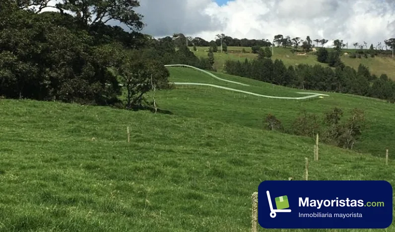Finca ganadera de 64 ha en Santa Rosa de Osos, Antioquia