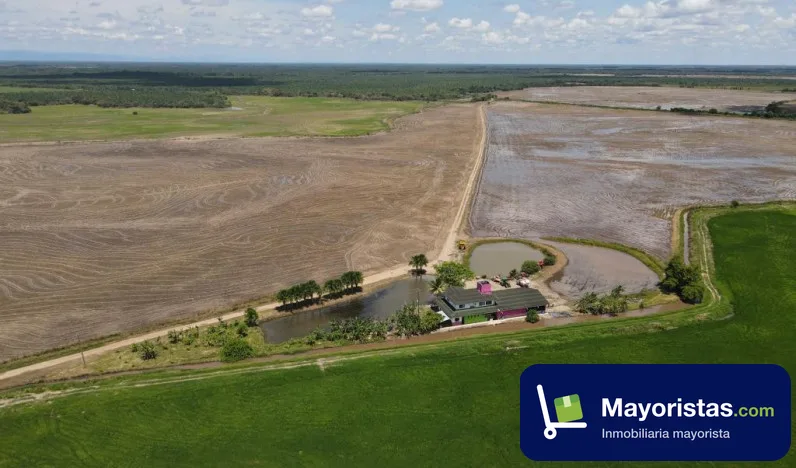 Finca agrícola de 190 ha en Puerto López, Meta