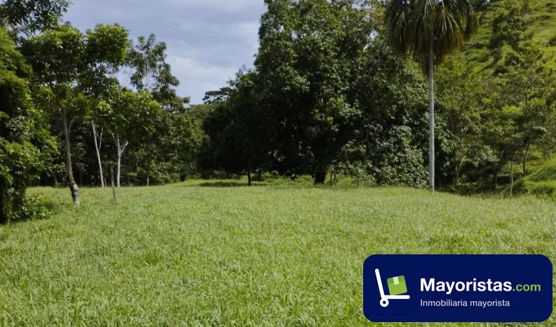 Finca ganadera de 51 ha en Turbo, Antioquia