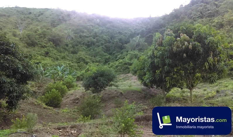 Finca agrícola de 80 ha en Coello, Tolima