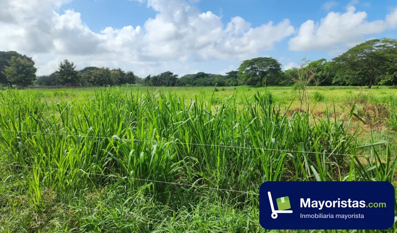 Finca ganadera de 121 ha en Juan de Acosta, Atlántico