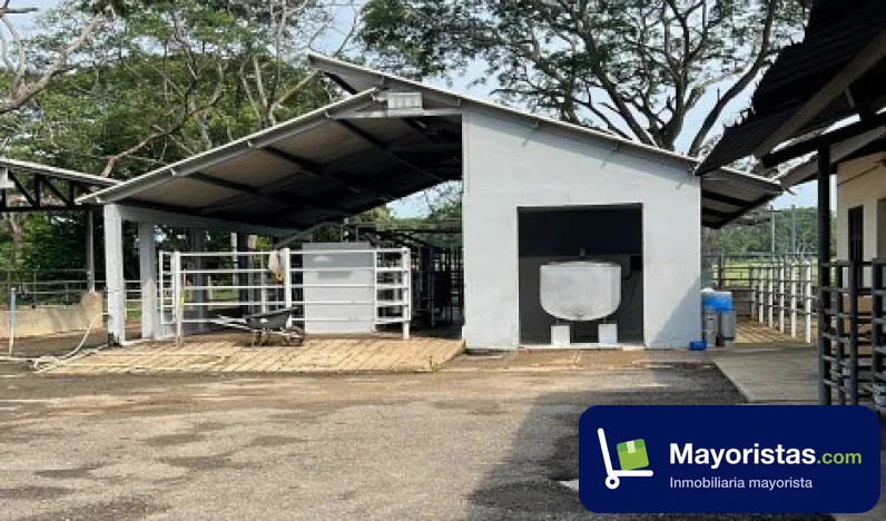 Finca ganadera de 121 ha en Juan de Acosta, Atlántico — foto 10 de 10
