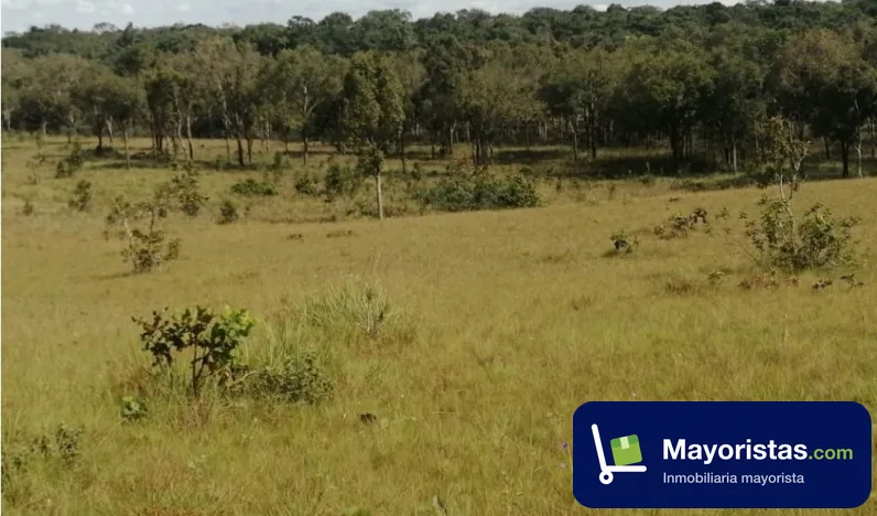 Finca agrícola de 2.133 ha en Puerto Carreño, Vichada
