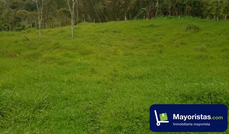 Finca cafetera de 8 ha en Topaipí, Cundinamarca