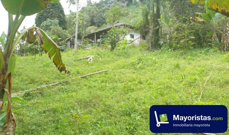 Finca cafetera de 8 ha en Topaipí, Cundinamarca — foto 10 de 10
