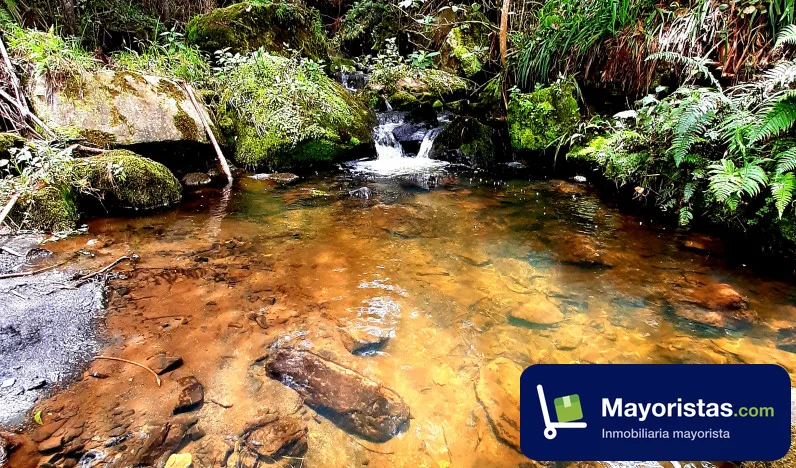 Finca ganadera de 53 ha en Pacho, Cundinamarca