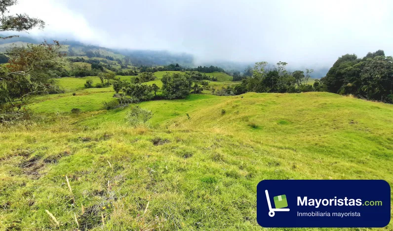 Finca ganadera de 53 ha en Pacho, Cundinamarca — foto 10 de 10