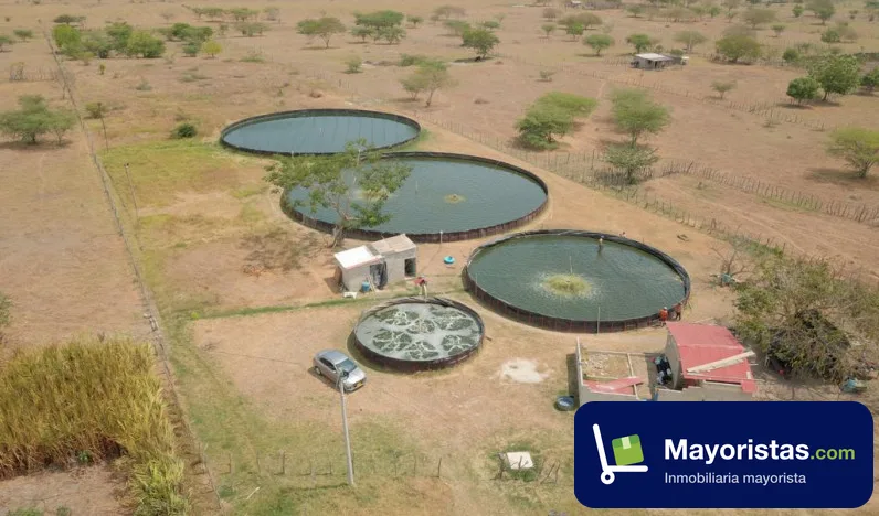 Finca agrícola de 2 ha en Manatí, Atlántico