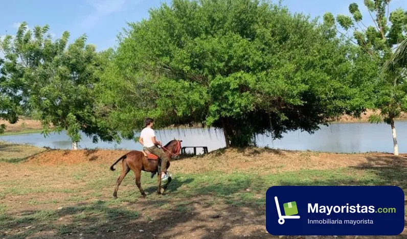 Finca ganadera de 69 ha en San Estanislao, Bolívar — foto 9 de 10