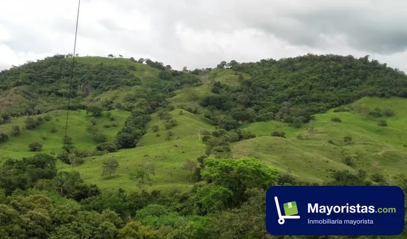 Finca ganadera de 240 ha en Caparrapí, Cundinamarca