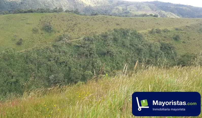 Finca ganadera de 200 ha en Herveo, Tolima