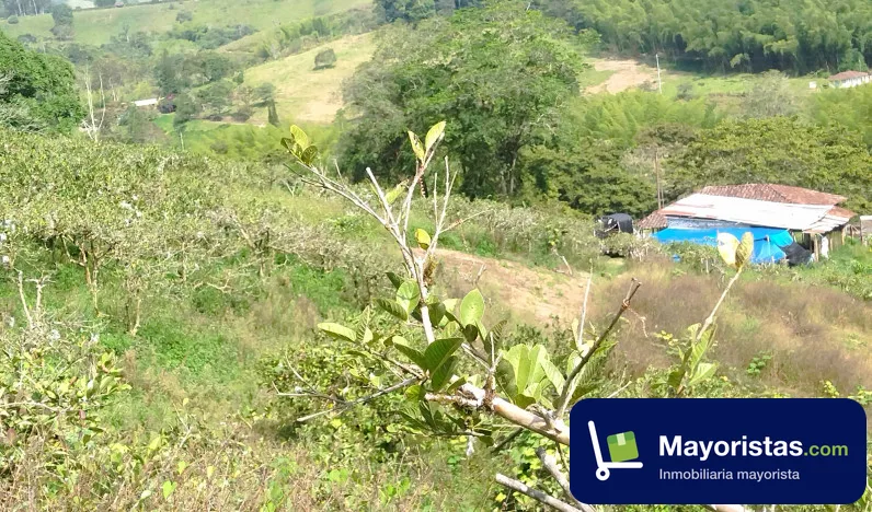 Finca agrícola de 7 ha en Calima, Valle del Cauca