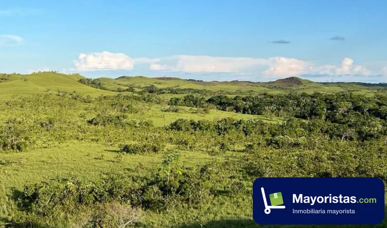 Finca ganadera de 930 ha en Puerto Lleras, Meta