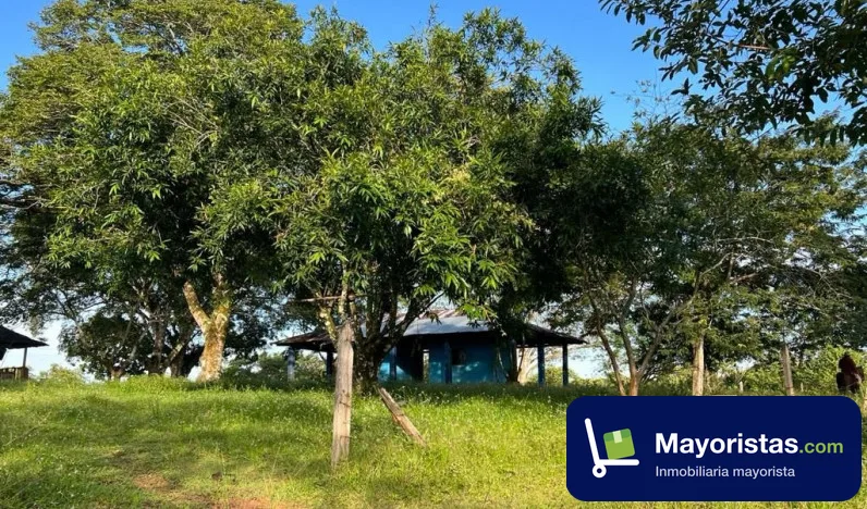 Finca ganadera de 930 ha en Puerto Lleras, Meta — foto 10 de 10