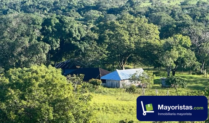 Finca ganadera de 930 ha en Puerto Lleras, Meta — foto 9 de 10