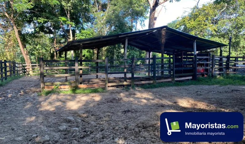 Finca ganadera de 373 ha en Rionegro, Santander — foto 10 de 10