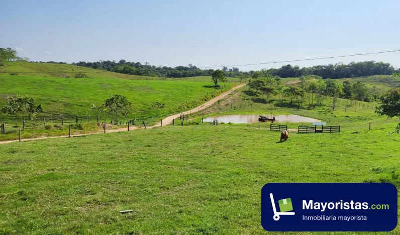 Finca ganadera de 300 ha en Cimitarra, Santander